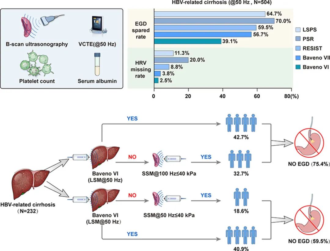 JOH丨南方醫(yī)科大學(xué)陳金軍教授團隊：脾臟硬度測量可減少75%慢乙肝肝硬化的胃鏡篩查