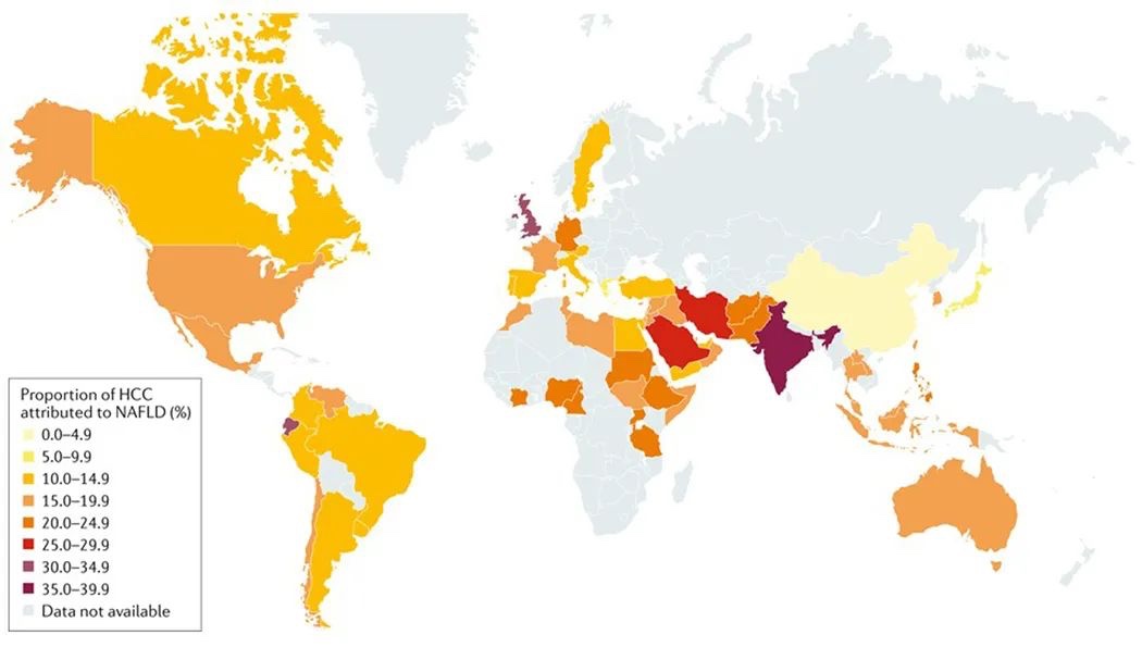 Nature 綜述：中國脂肪肝相關(guān)肝癌發(fā)病率將升高86%，急需預(yù)防！