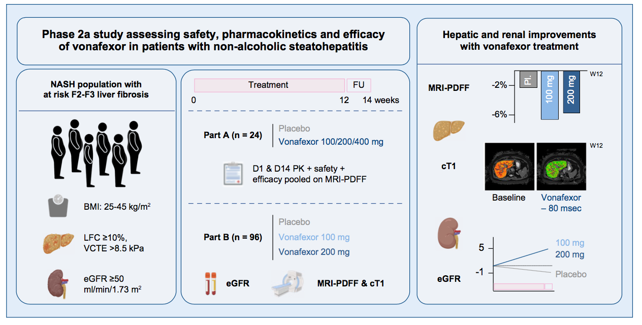 FXR激動劑對疑似纖維化NASH患者的肝臟和腎臟改善