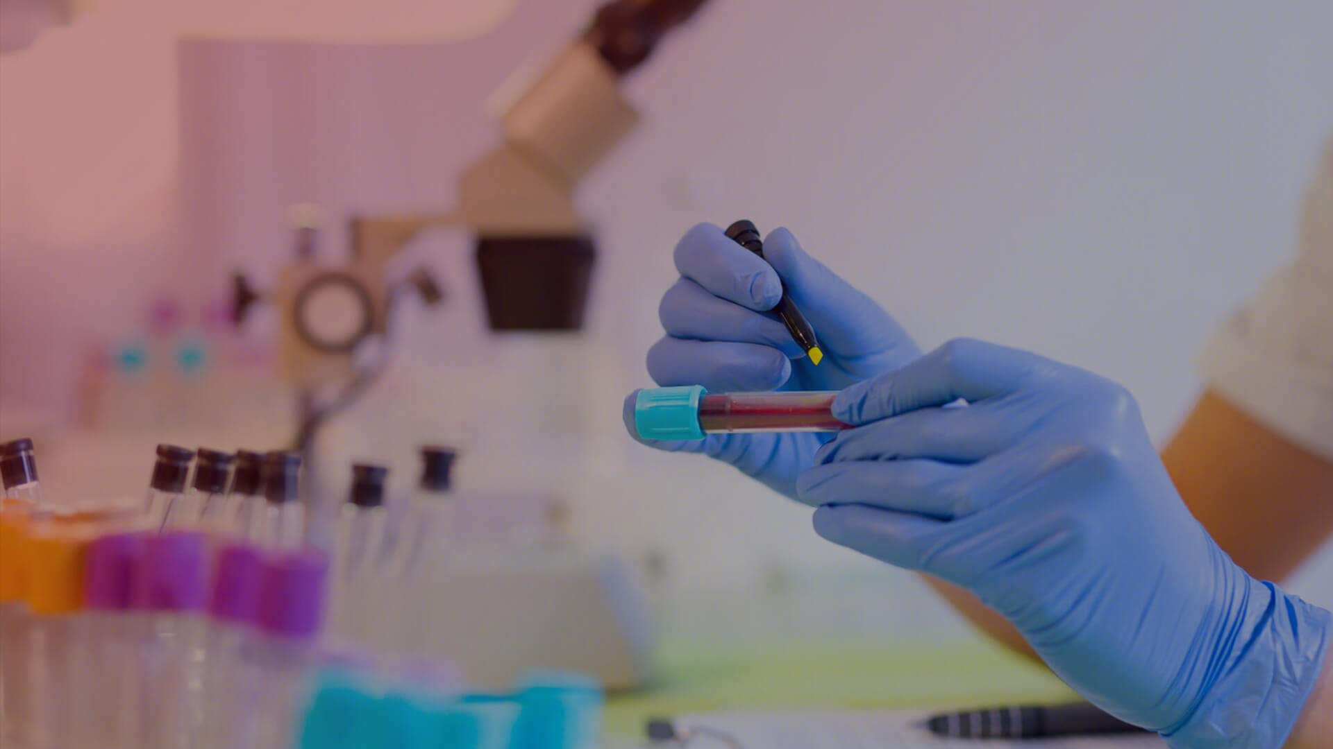 復(fù)方鱉甲軟肝片聯(lián)合恩替卡韋雙抗治療 