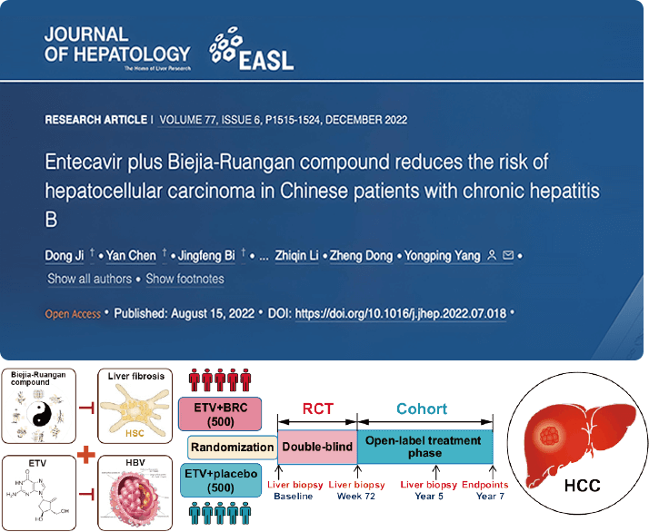 復(fù)方鱉甲軟肝片聯(lián)合抗病毒藥物治療，可顯著降低肝癌發(fā)生
